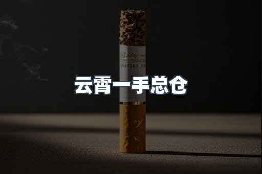 云霄一手总仓